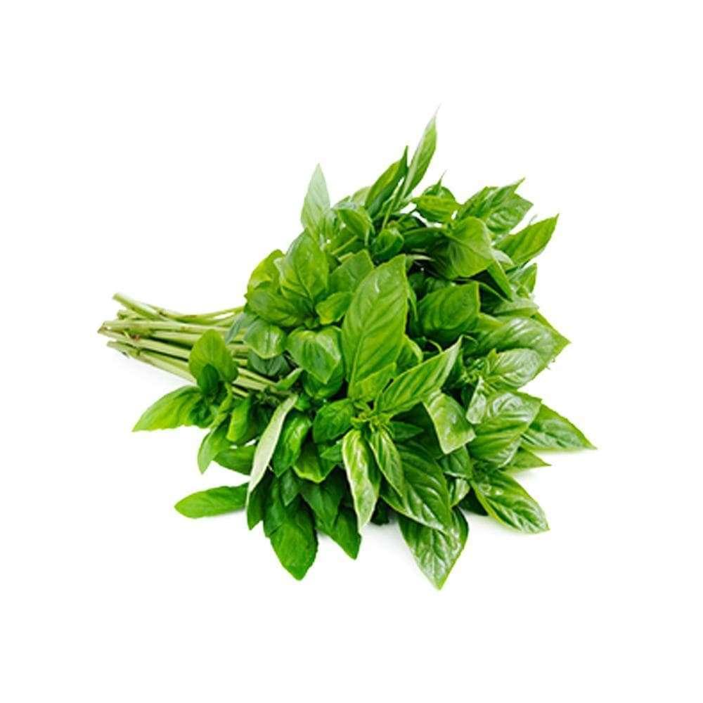 Basil Green (bunch)