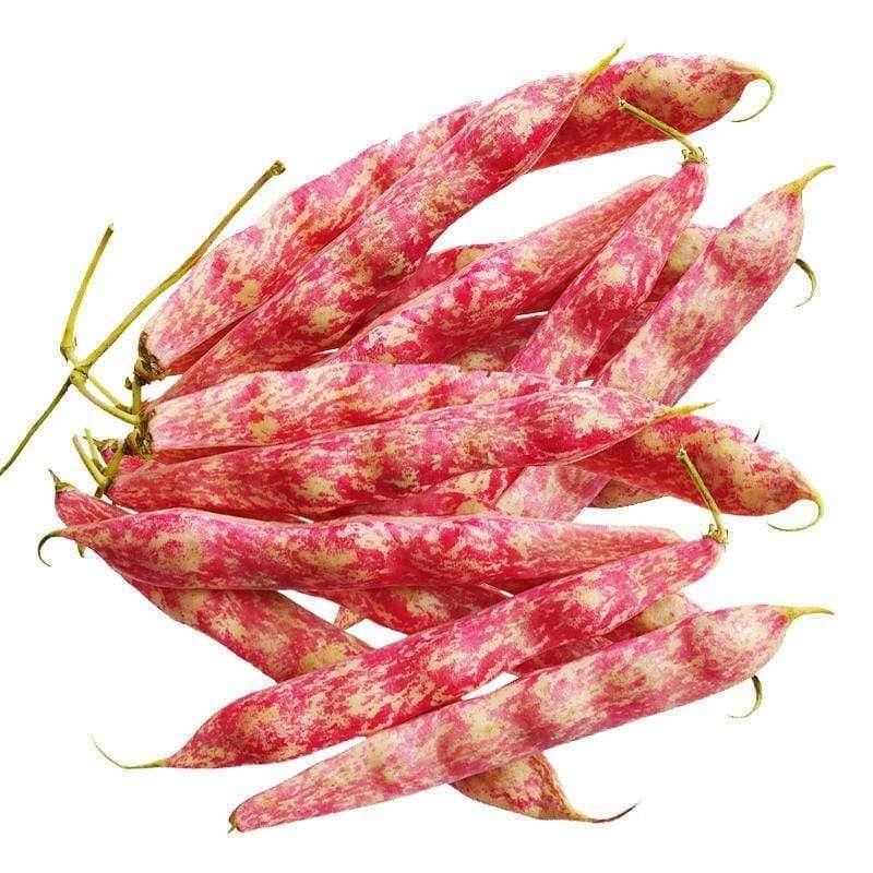 Beans Borlotti (200g)