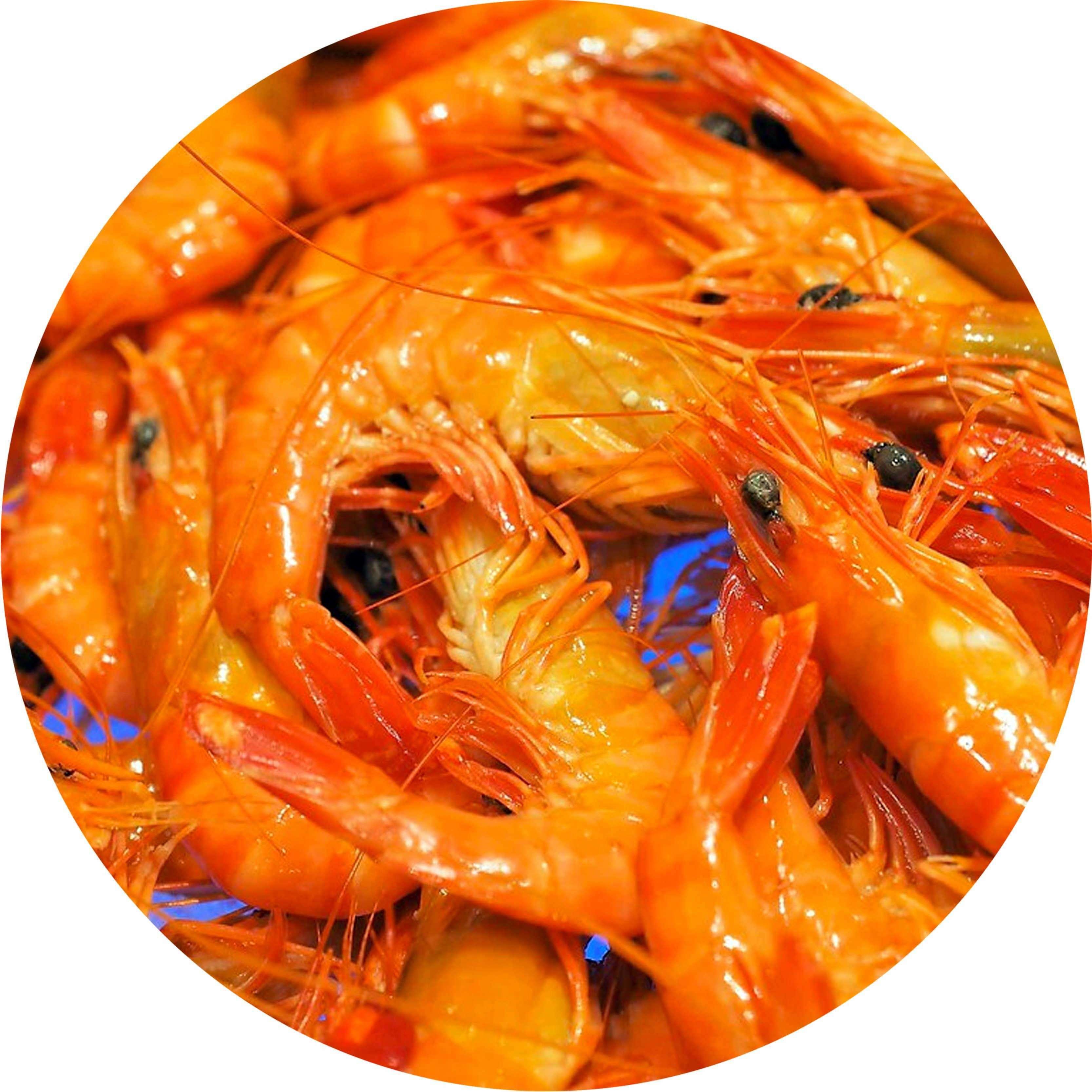 Cooked Large Vannamei Prawn (kg)