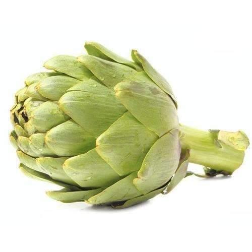 Artichoke Globe