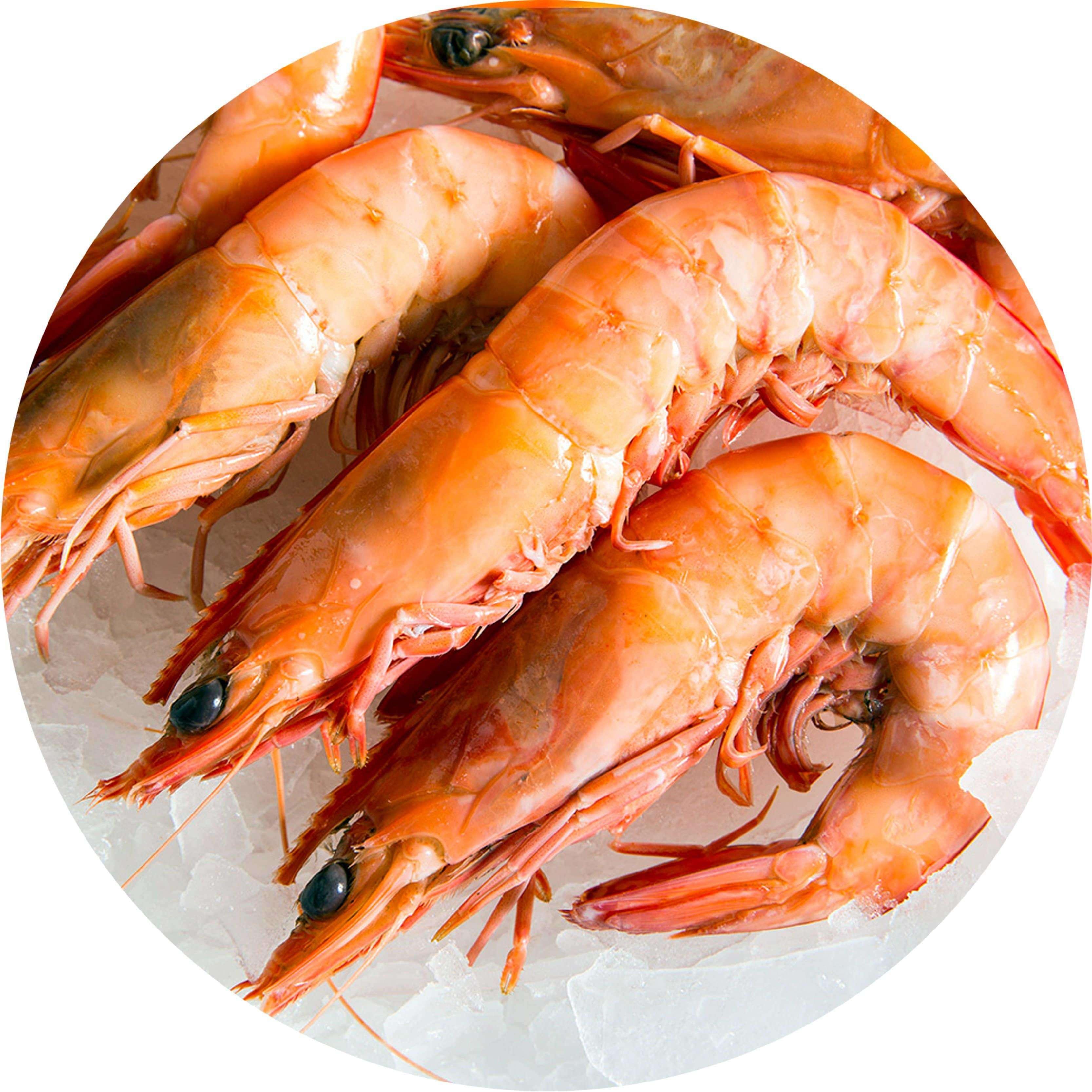 Cooked Sea Caught Tiger Prawn (kg)