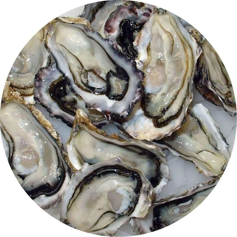 Pacific Oyster (dozen)
