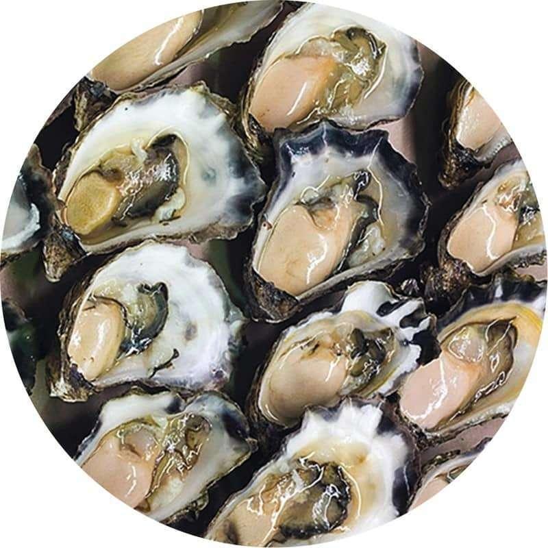 Sydney Rock Oyster (dozen)